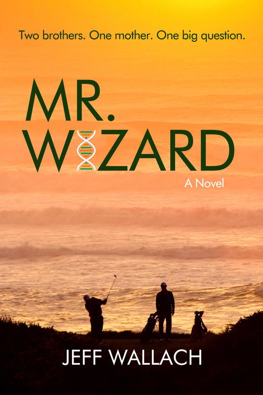 Mr. Wizard: A Novel by Jeff Wallach